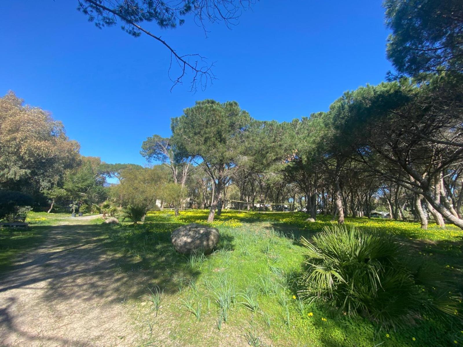 Camping Village Flumendosa Santa Margherita di Pula Dış mekan fotoğraf
